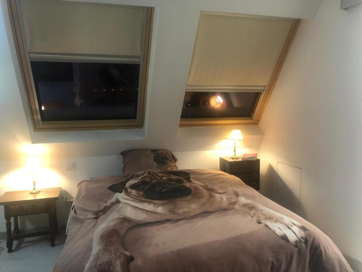 Guadarrama, Atico Nuevo Con Espectaculares Vistas Apartment Ngoại thất bức ảnh